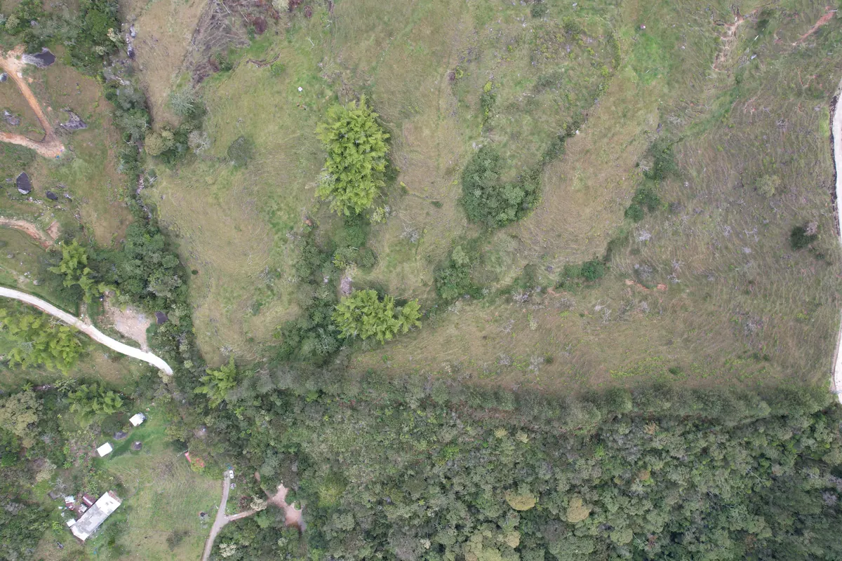 Vía de acceso a los lotes campestres Vista Hermosa en Guatapé, Antioquia